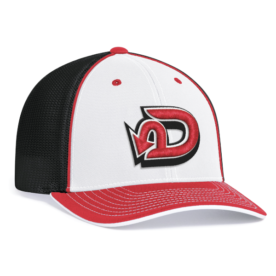 Custom Baseball Hat